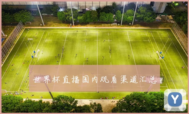 世界杯直播国内观看渠道汇总