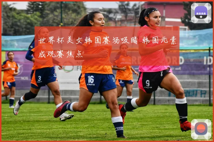 世界杯美女韩国赛场吸睛 韩国元素成观赛焦点