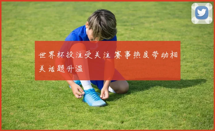 世界杯投注受关注 赛事热度带动相关话题升温