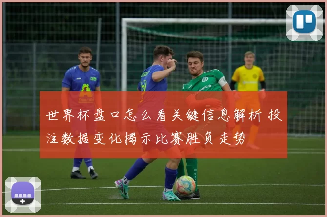 世界杯盘口怎么看关键信息解析 投注数据变化揭示比赛胜负走势