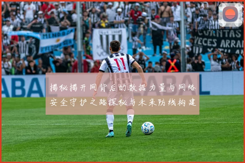 揭秘揭开网背后的数据力量与网络安全守护之路探秘与未来防线构建